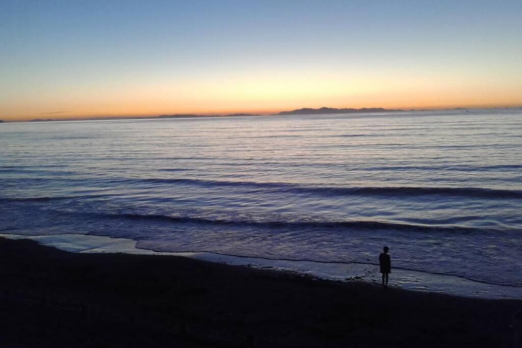 Beachfront Bliss Paraparaumu Zewnętrze zdjęcie